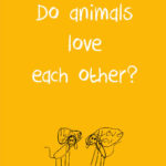 love-animals-2